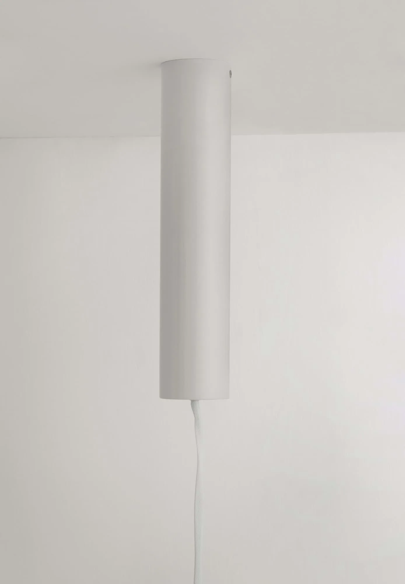 Reb takkrok, Wit Normann Copenhagen