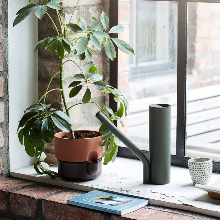 Grab waterkan, Groen Northern