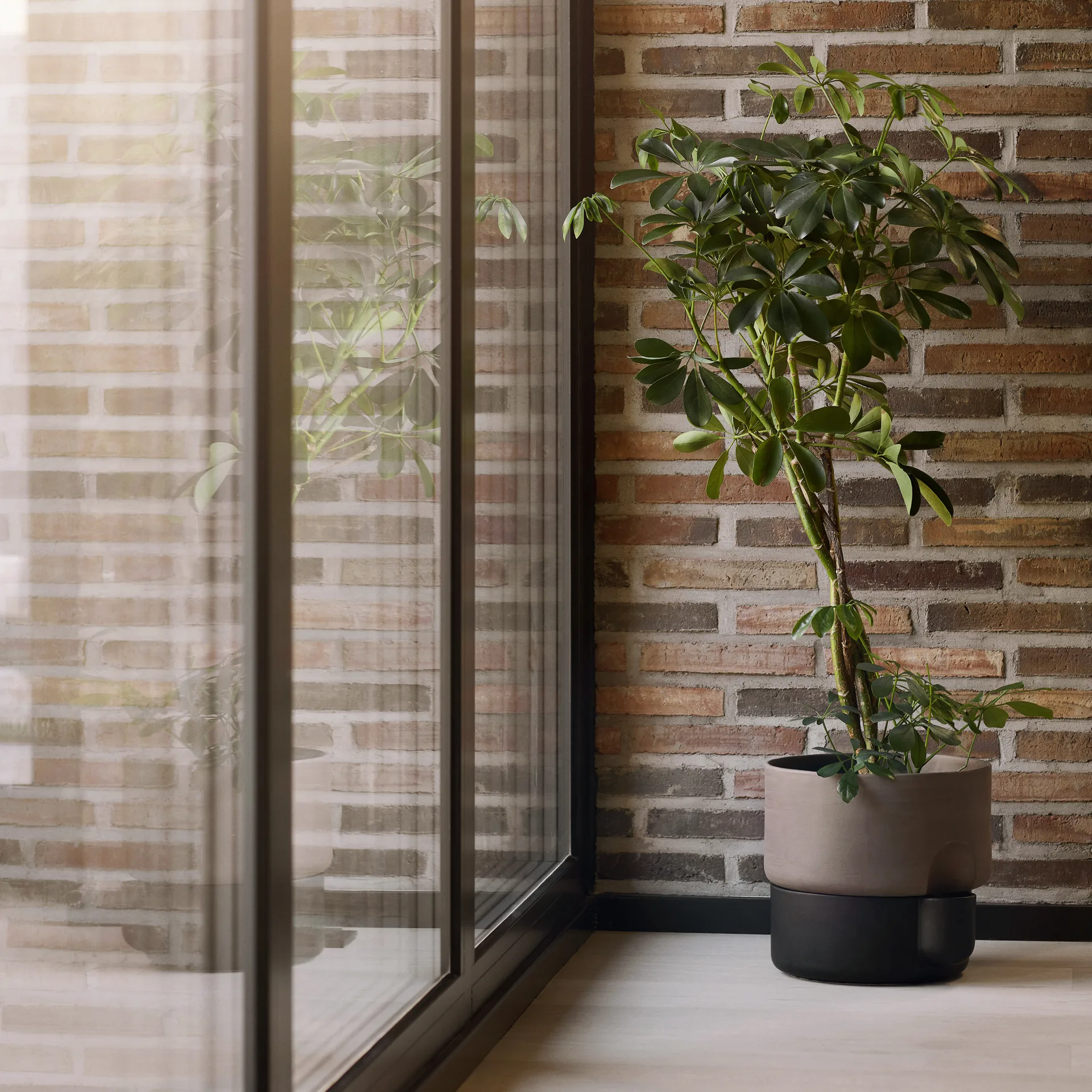 Oasis zelfwaterende bloempot groot Ø27.5 cm, Donkerbruin Northern