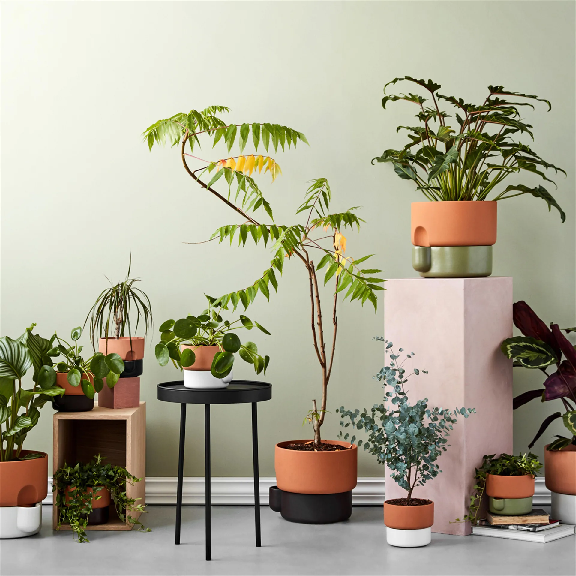 Oasis zelfwaterende bloempot klein Ø15 cm, groen Northern