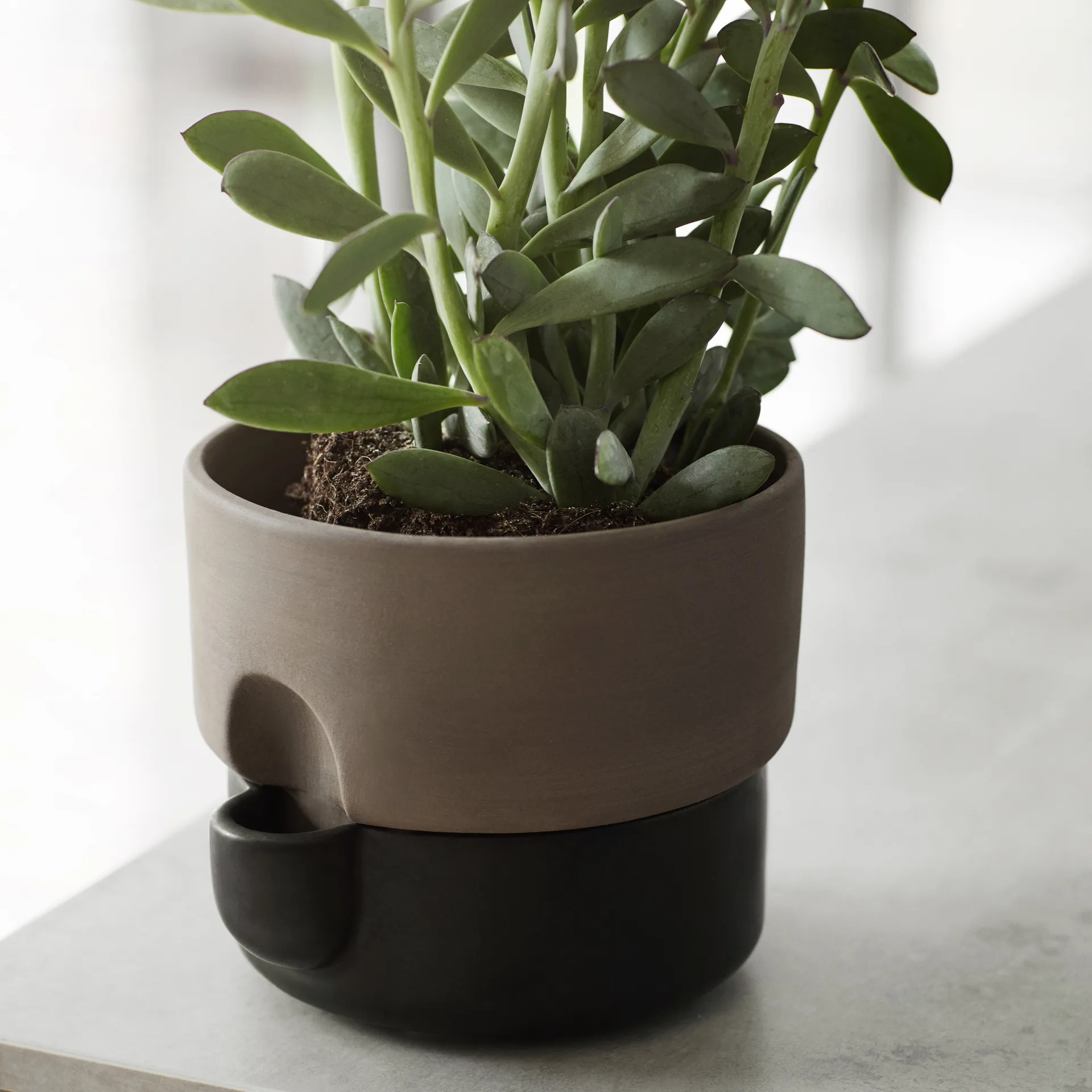 Oasis zelfwaterende bloempot klein Ø15 cm, Zwart Northern