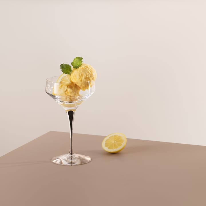Metropol champagnecoupe 24 cl, Zwart Orrefors