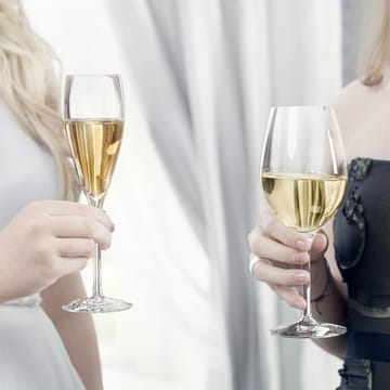 More champagne glas 4-pack - 4-pack - Orrefors