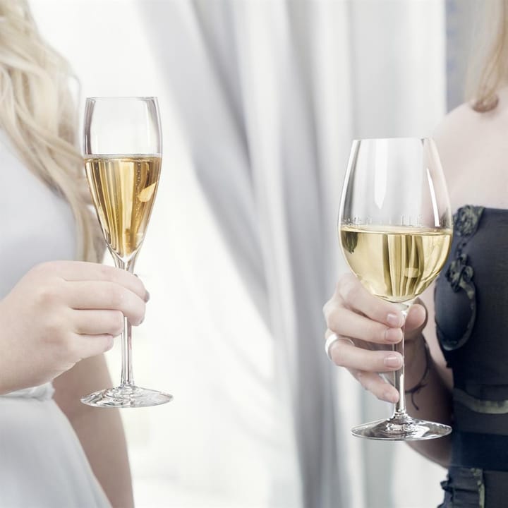 More champagne glas 4-pack, 4-pack Orrefors