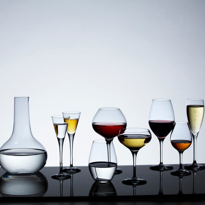 More Coupe glas 4-pack, 21 cl. Orrefors
