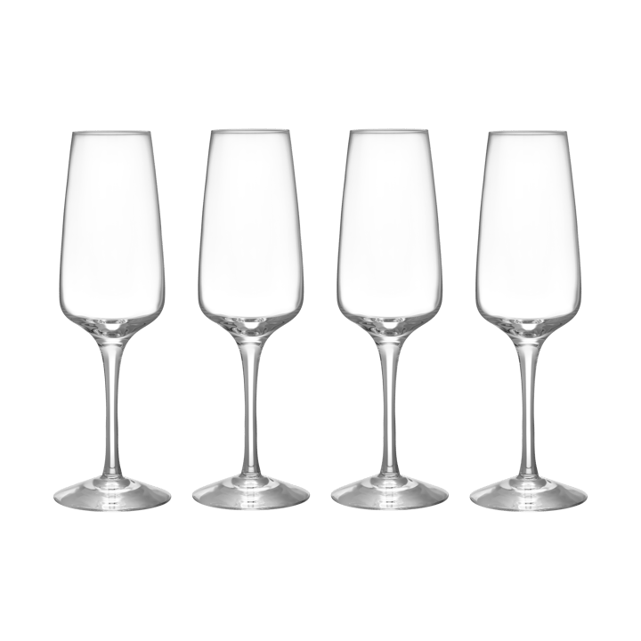 Pulse champagneglas 28 cl 4-pack - Transparant - Orrefors