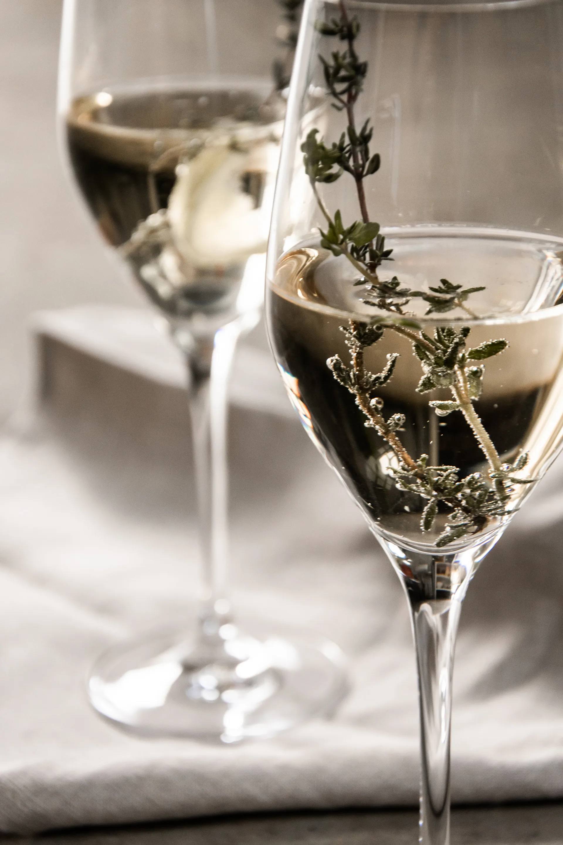 Sense champagneglas 25,5 cl 6-pack, Transparant Orrefors