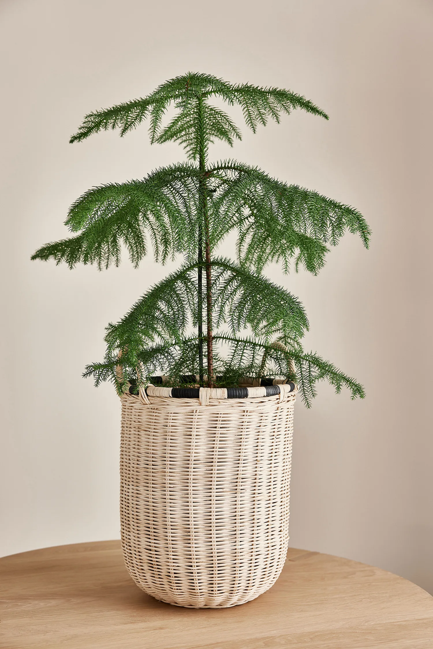 Boo opbergmand, liten 46 cm OYOY