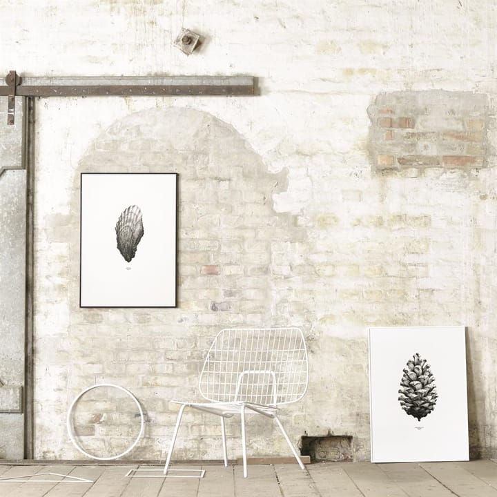 1:1 Pine cone poster, wit - 50 x 70 cm. Paper Collective