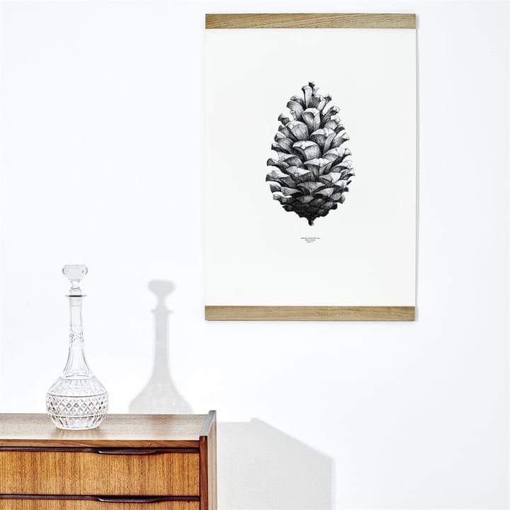 1:1 Pine cone poster, wit - 50 x 70 cm. Paper Collective