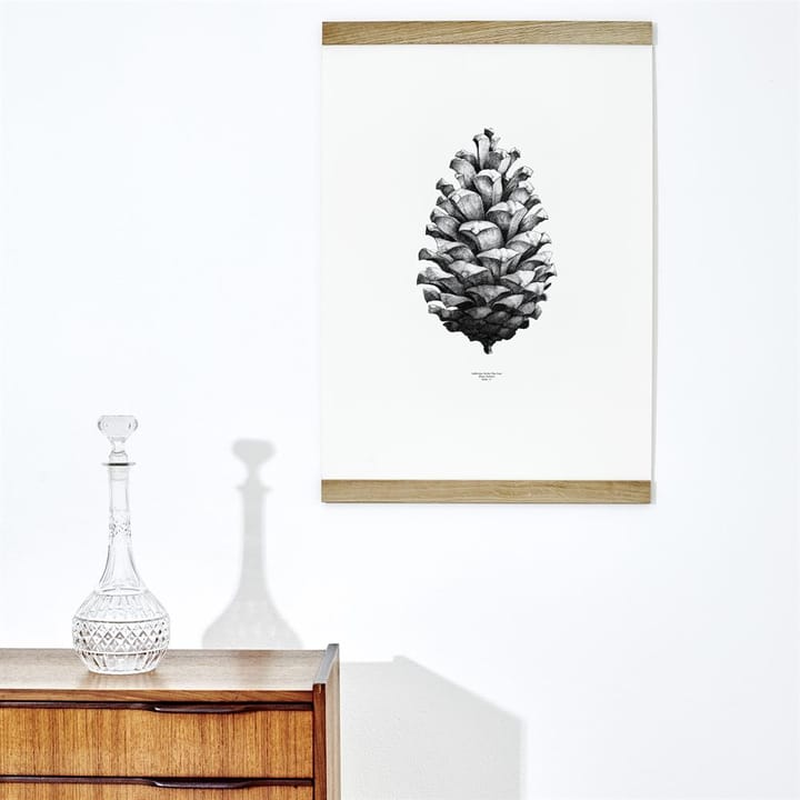 1:1 Pine cone poster - wit - 50 x 70 cm. - Paper Collective