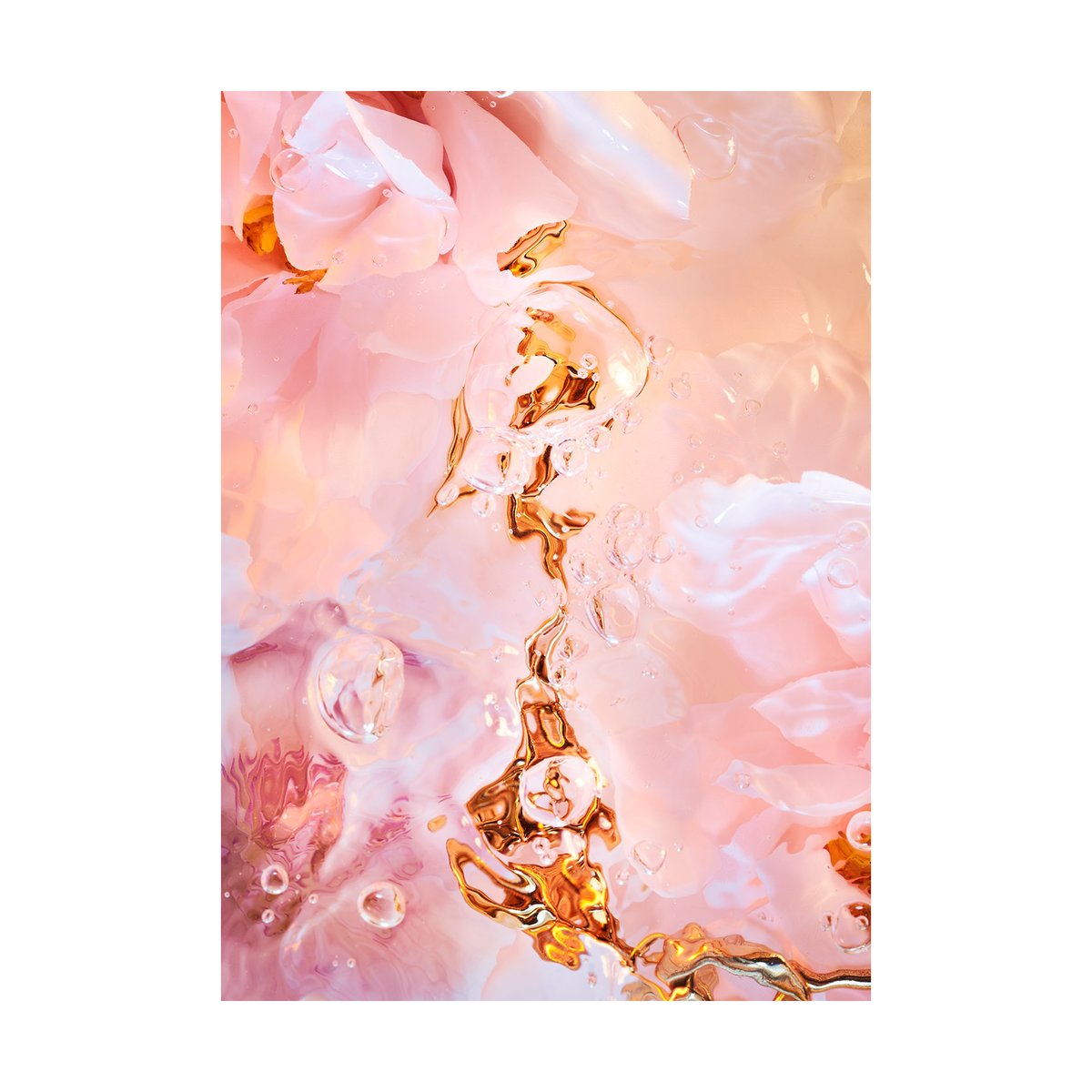 Paper Collective Flora Aquatica 02 poster 50x70 cm | Scandinavisch Interieur | Posters | Roze