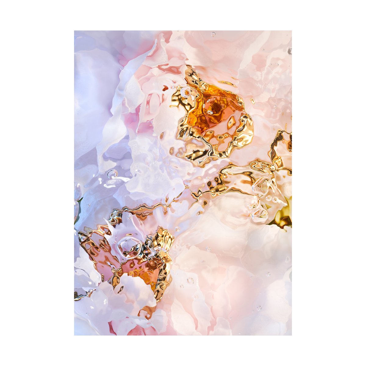 Paper Collective Flora Aquatica 03 poster 50x70 cm | Scandinavisch Interieur | Posters | Multi