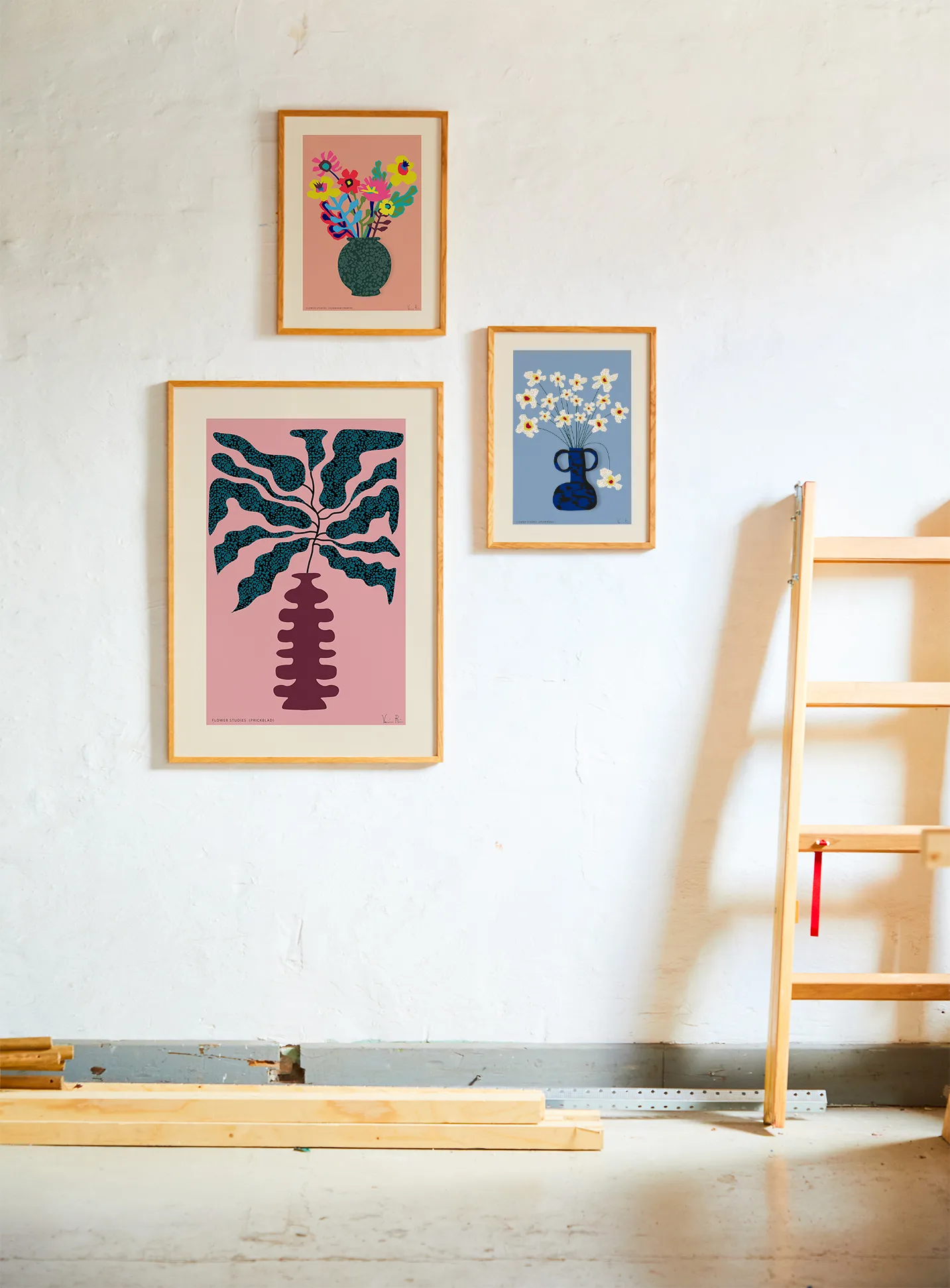 Flower Studies 04 (Spaanse margriet) poster, 50x70 cm Paper Collective