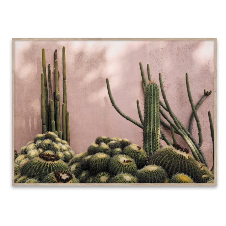 Plants on Pink poster - 70 x 50 cm. - Paper Collective