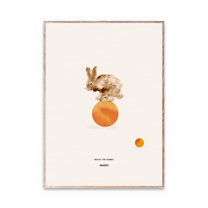 Rocky the Rabbit poster, 50x70 cm Paper Collective