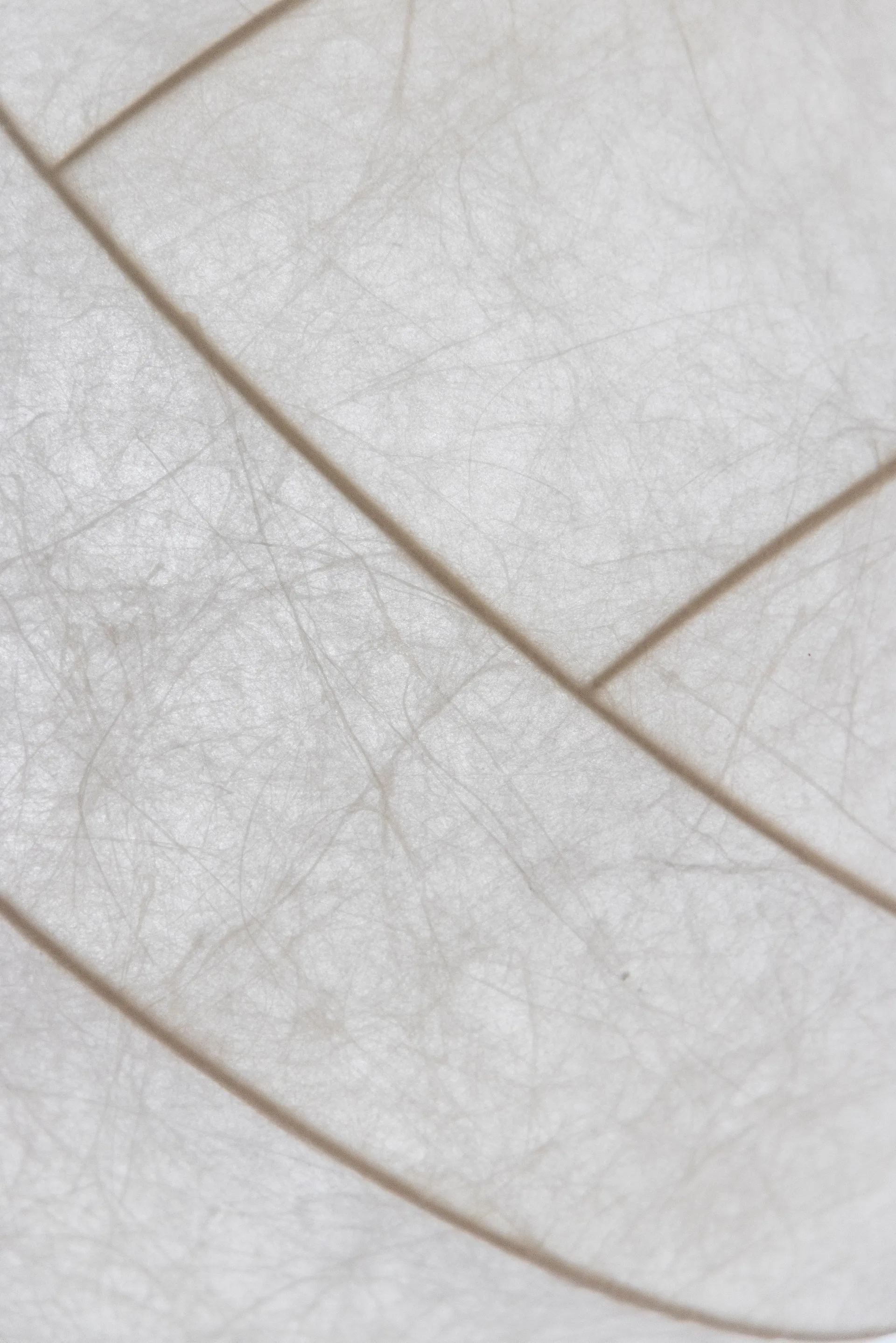 Turner 80 hanglamp, Wit Pholc