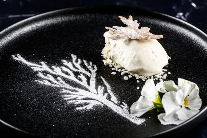 Plate-it quenelle lepels 2-pack, Staal Plate It