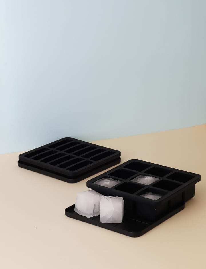 FREEZE-IT IJsblokjesvorm met deksel, 2,5x19x19 cm RIG-TIG