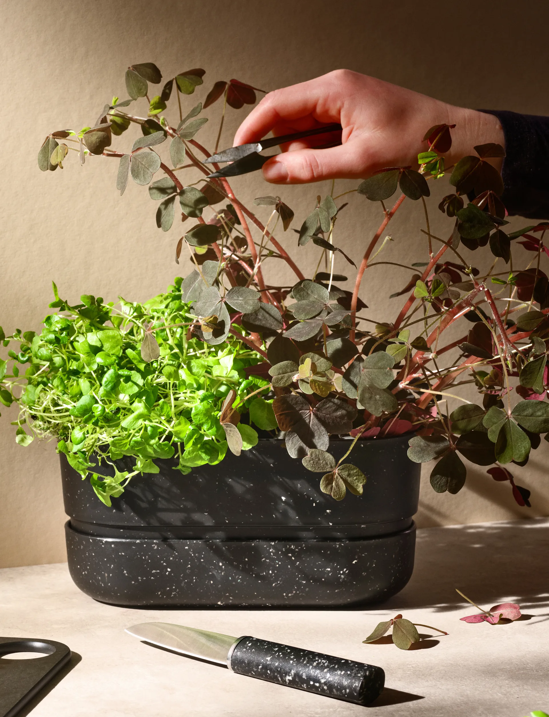 POT-IT kruidenpot 22,2 cm, Black RIG-TIG