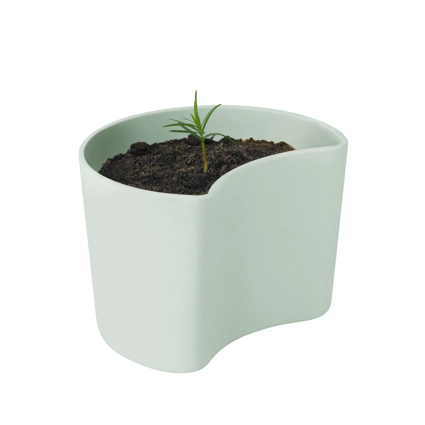 YOUR TREE pot met zaadjes, Groen (Pijnboom) RIG-TIG