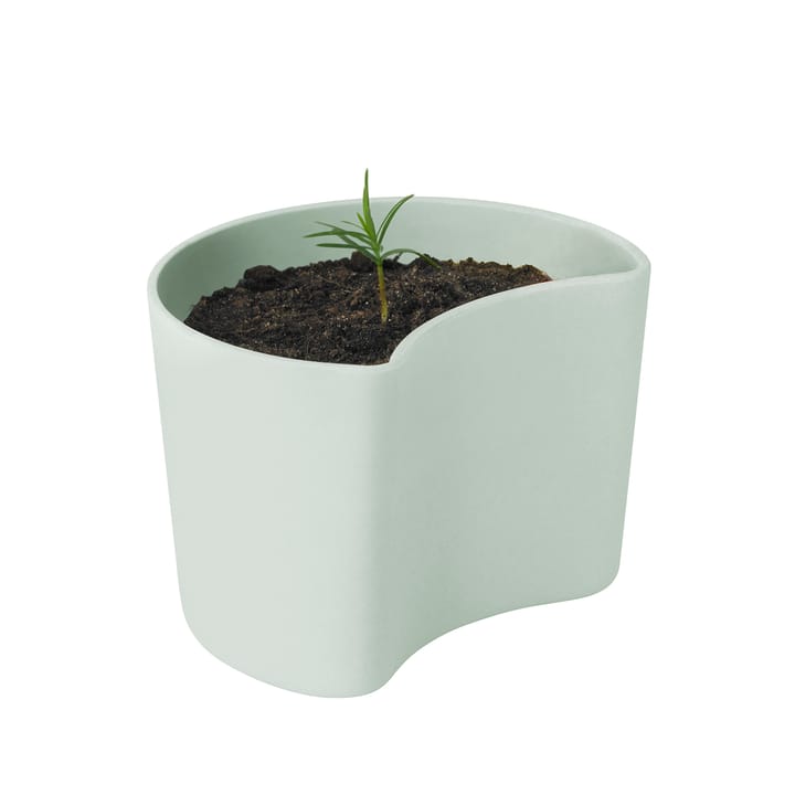 YOUR TREE pot met zaadjes - Groen (Pijnboom) - RIG-TIG