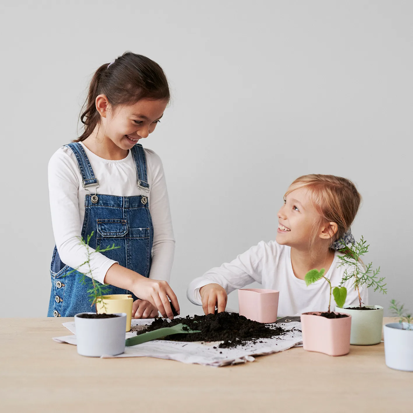 YOUR TREE pot met zaadjes, Groen (Pijnboom) RIG-TIG