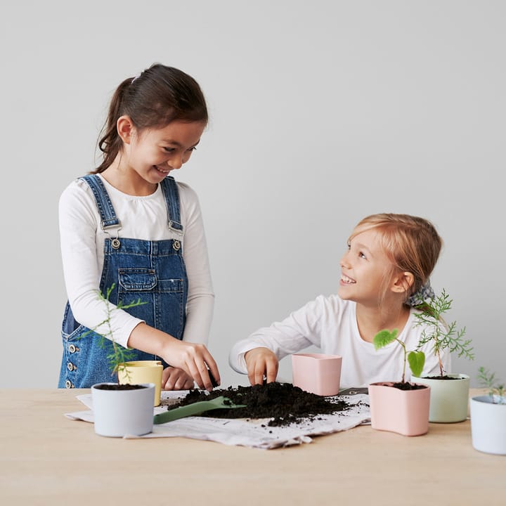 YOUR TREE pot met zaadjes, Groen (Pijnboom) RIG-TIG