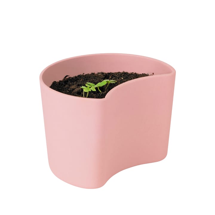 YOUR TREE pot met zaadjes - Roze (Berk) - RIG-TIG