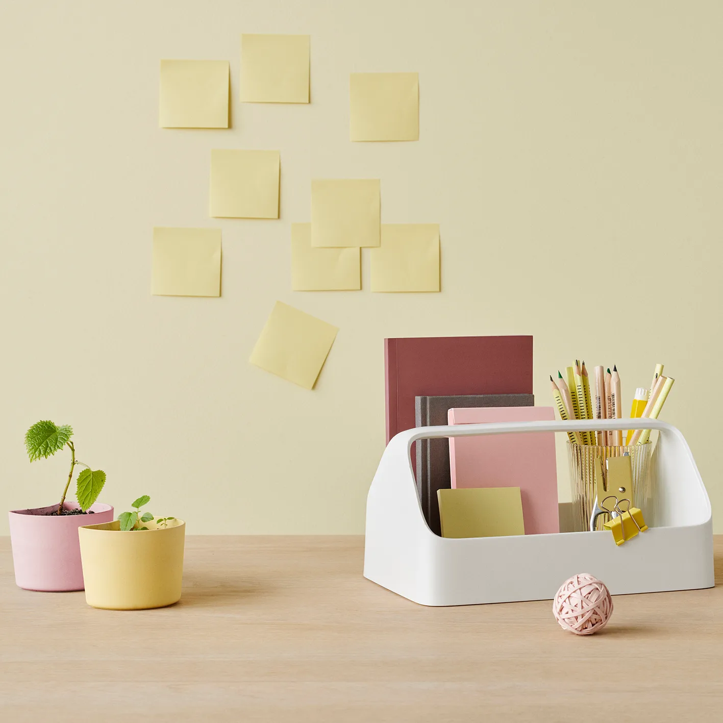 YOUR TREE pot met zaadjes, Roze (Berk) RIG-TIG