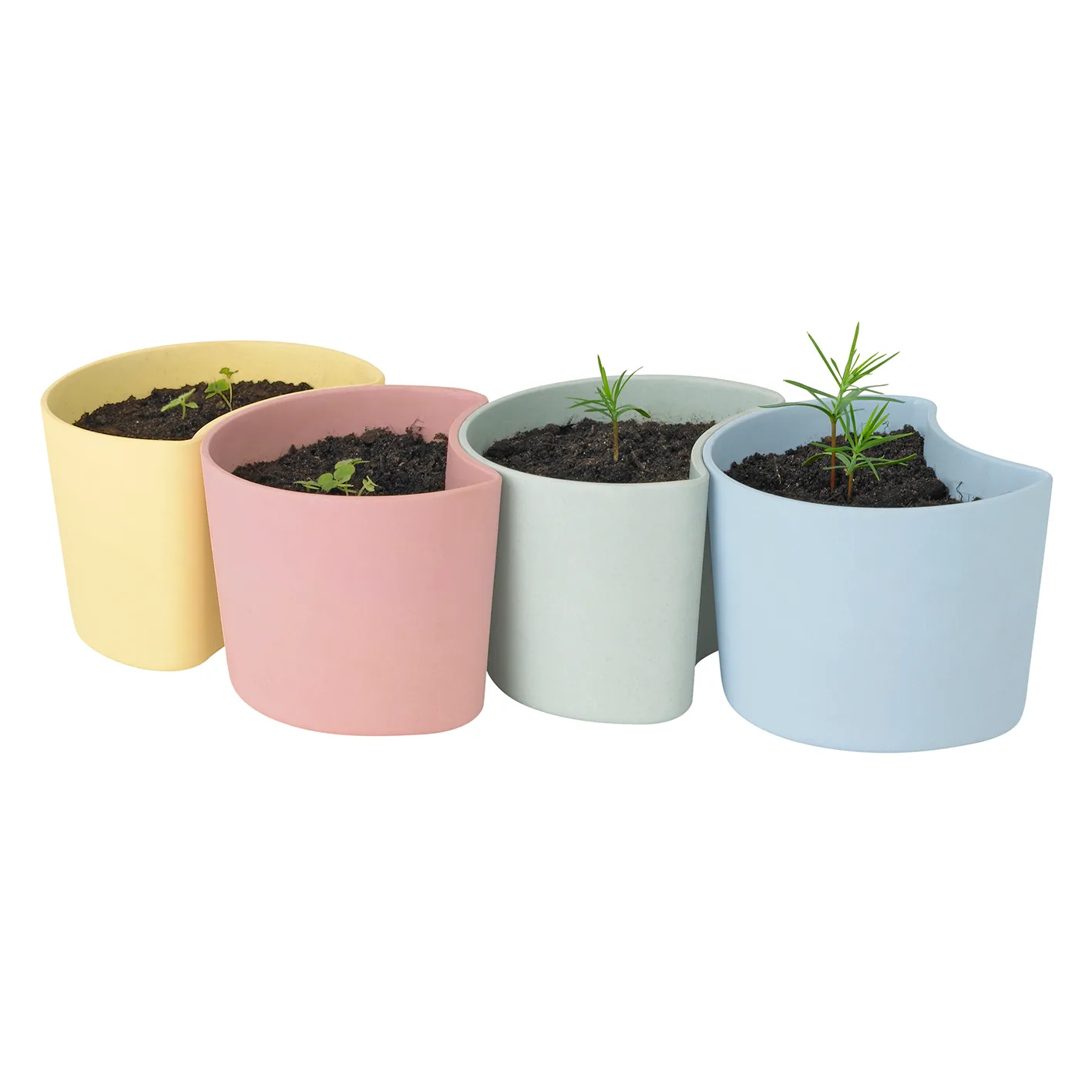 YOUR TREE pot met zaadjes, Roze (Berk) RIG-TIG