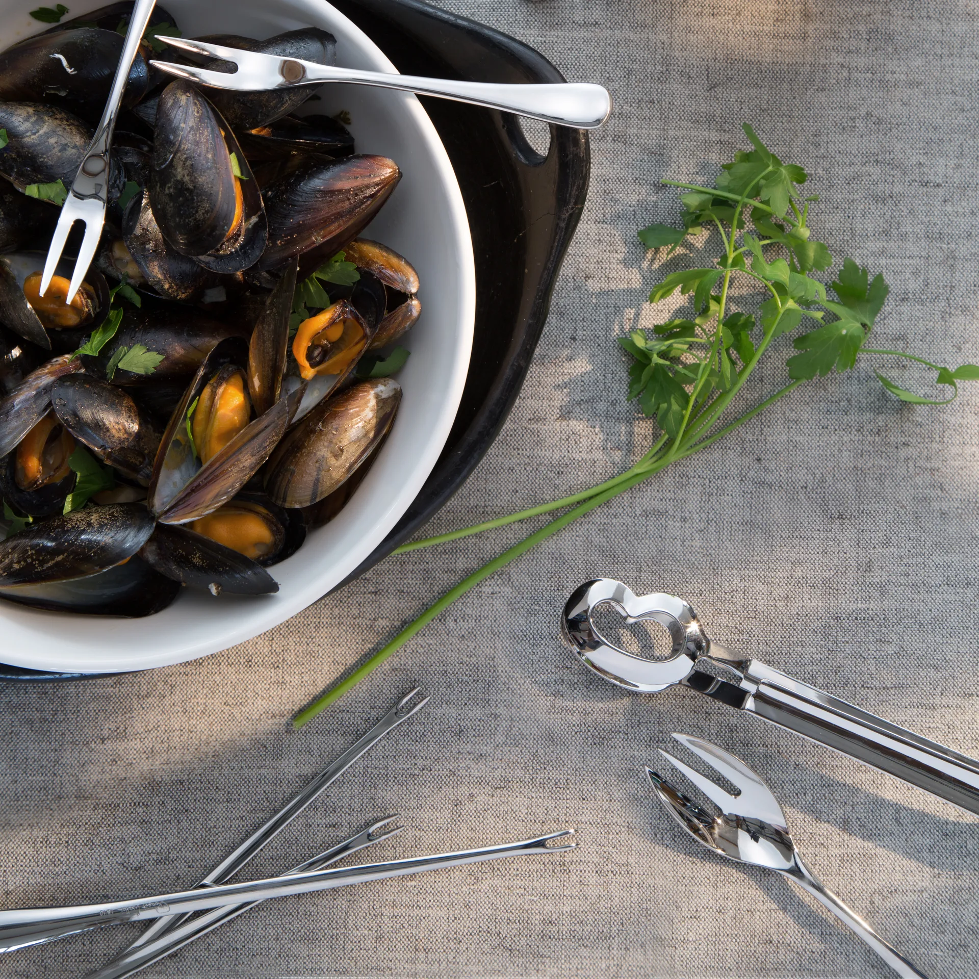 Radford slakkentang, gepolijst, Roestvrij staal Robert Welch