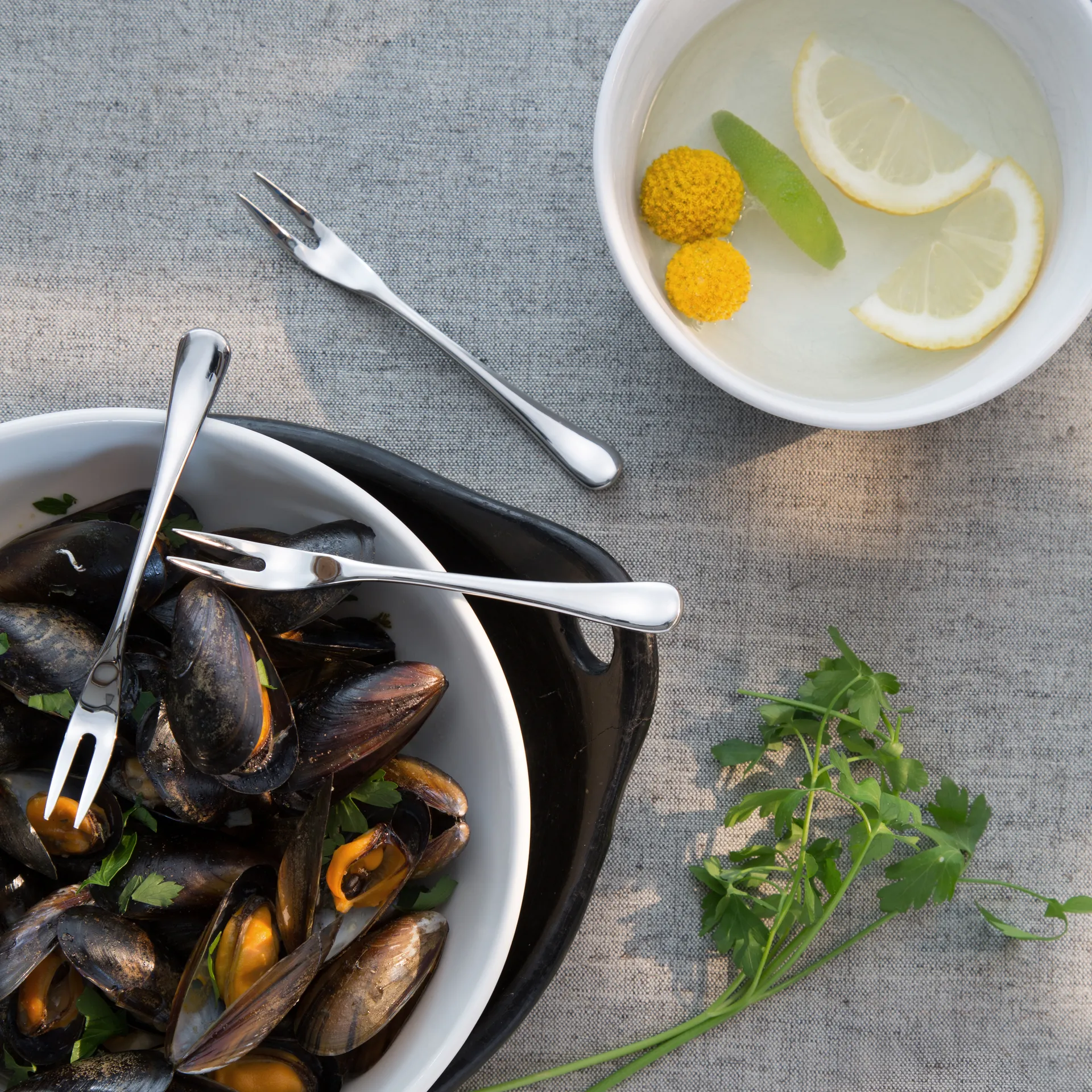 Radford slakkenvork, gepolijst, Roestvrij staal Robert Welch