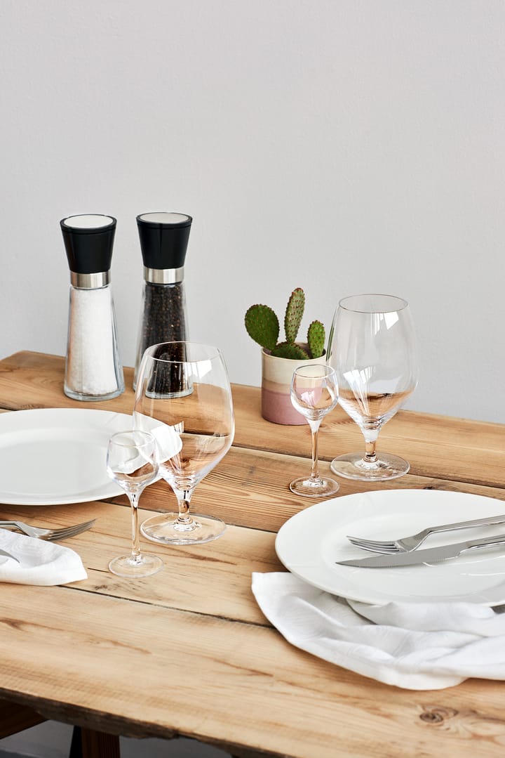 Premium bierglas 60 cl 2-pack, Transparant Rosendahl