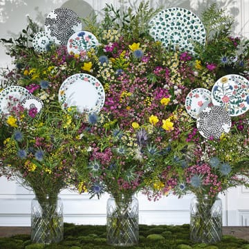 Magic Garden Foliage bord 21 cm - Wit-groen - Rosenthal