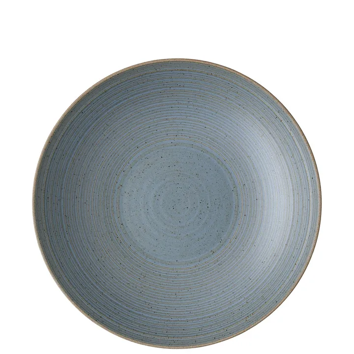 Thomas diep bord 28 cm - Nature water - Rosenthal