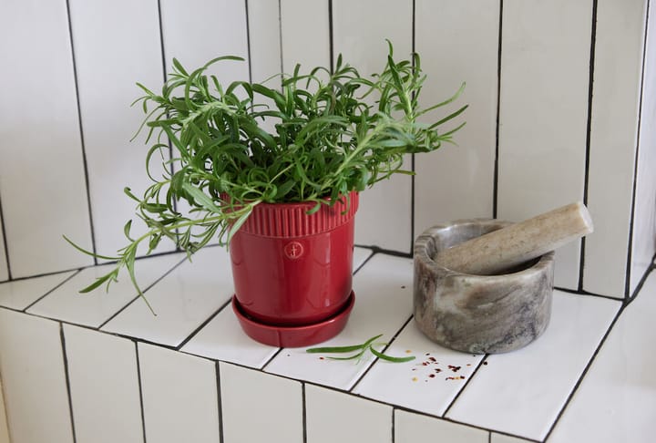 Elise kruidenpot Ø11 cm, Bordeauxrood Sagaform
