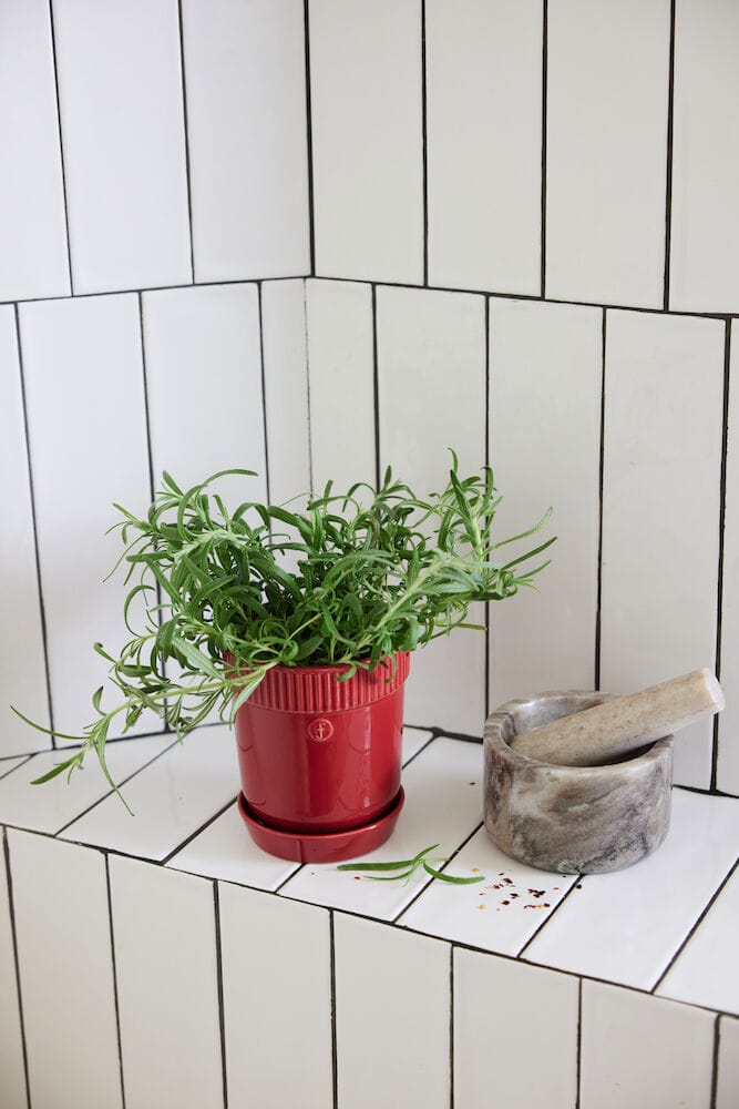 Elise kruidenpot Ø11 cm, Bordeauxrood Sagaform