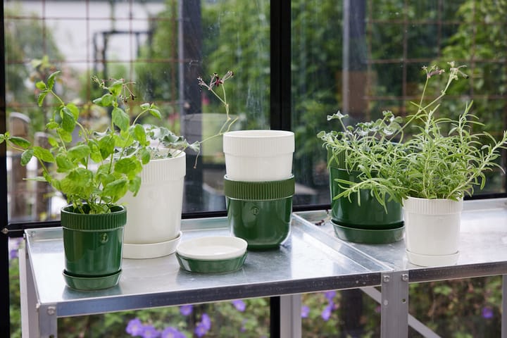 Elise kruidenpot Ø11 cm, Groen Sagaform