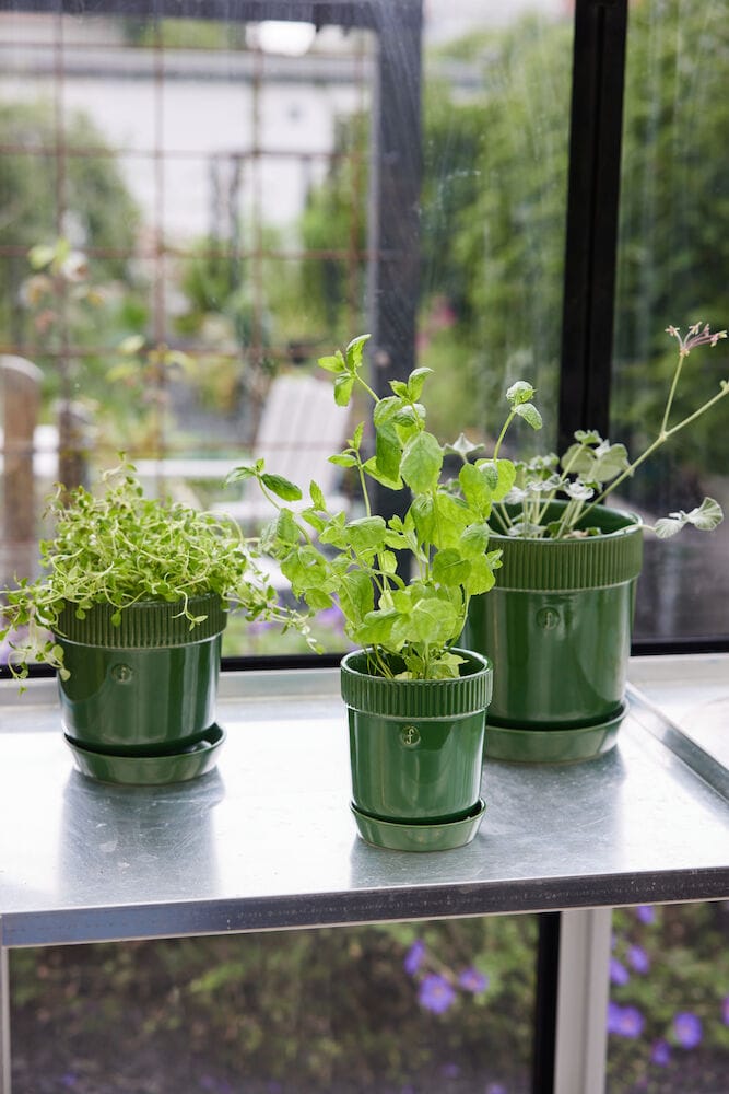 Elise kruidenpot Ø11 cm, Groen Sagaform