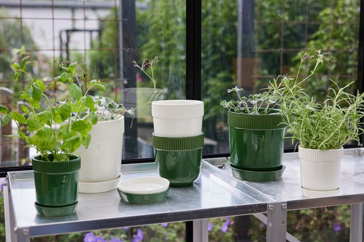 Elise kruidenpot Ø11 cm, Groen Sagaform