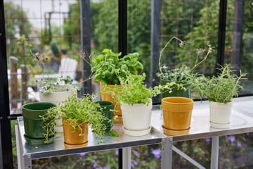 Elise kruidenpot Ø11 cm - Groen - Sagaform