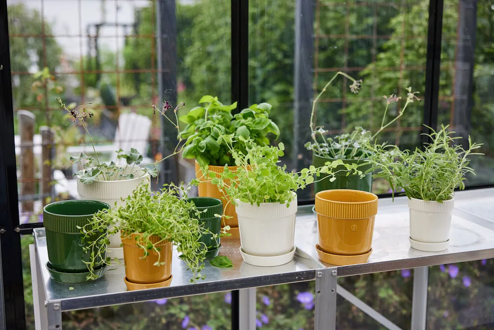 Elise kruidenpot Ø11 cm, Wit Sagaform