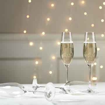 Karlevi champagneglas 4 stuks - 21 cl - Scandi Living