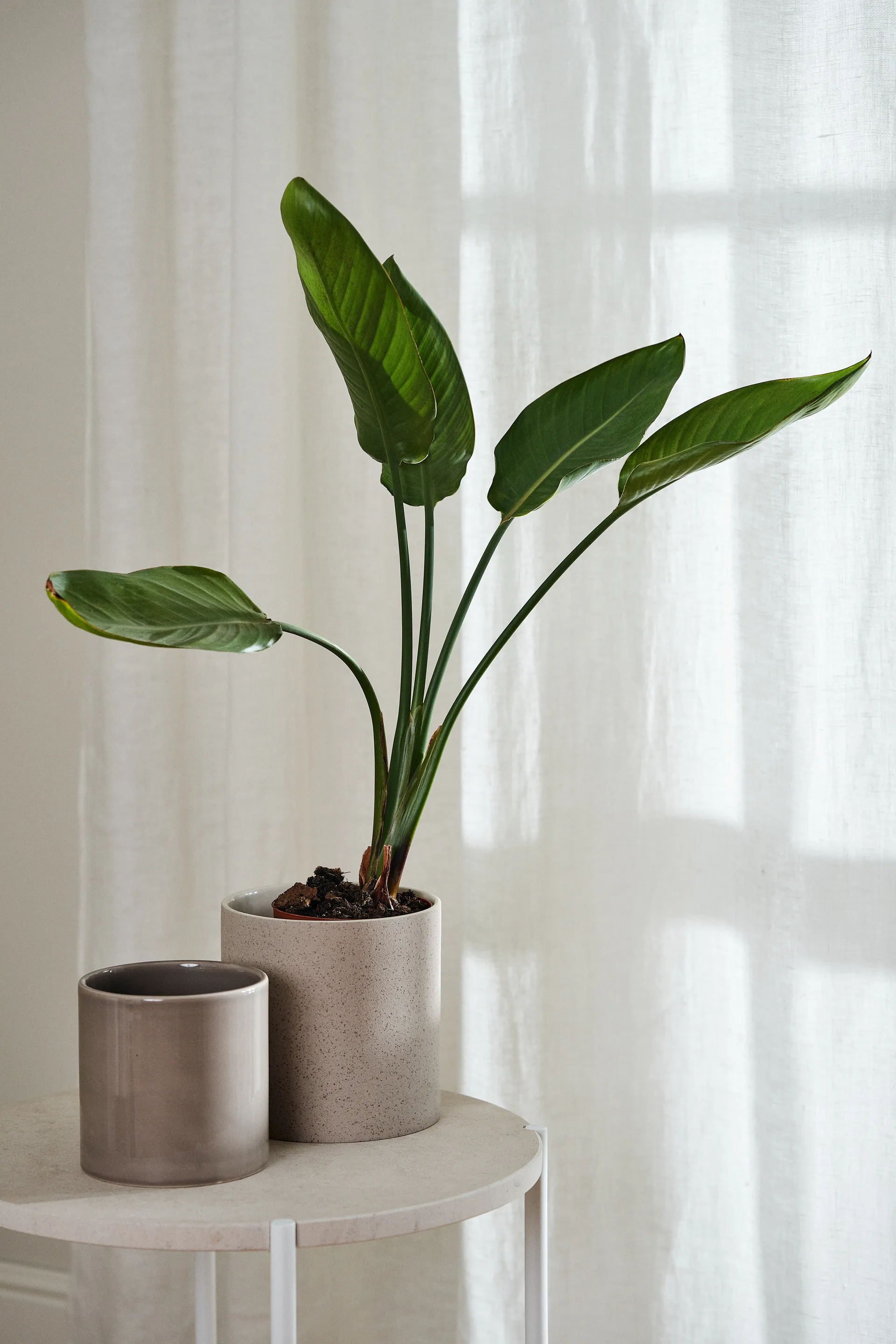 Tranquility gordijn met multiband 139x250 cm, Wit Scandi Living