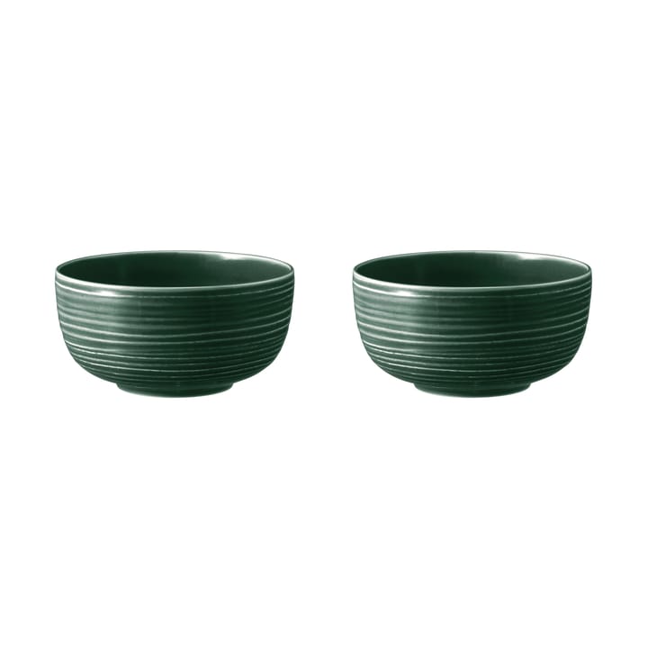 Terra kom Ø17,7 cm 2-pack - Moss Green - Seltmann Weiden