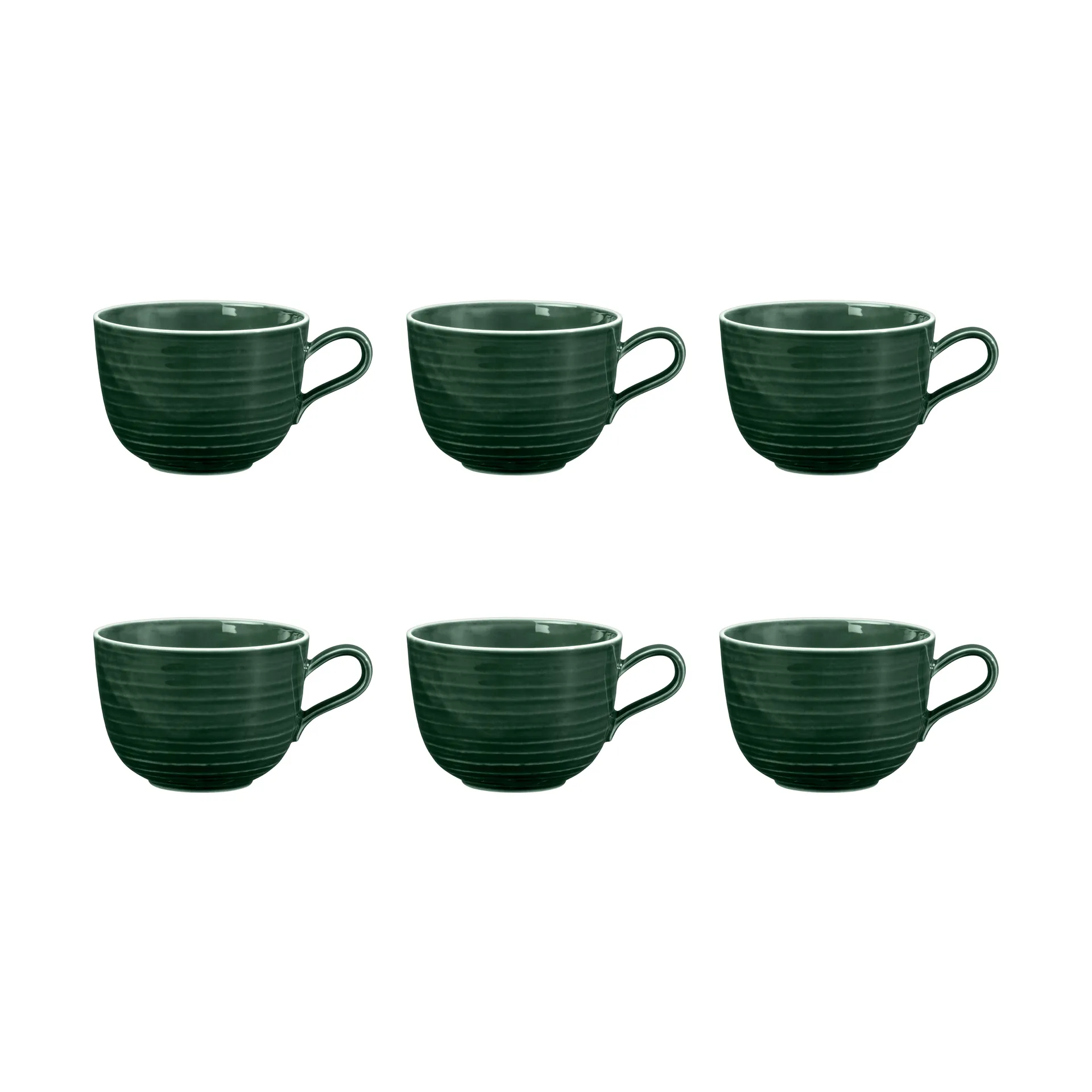 Terra kop 38 cl 6-pack, Moss Green Seltmann Weiden