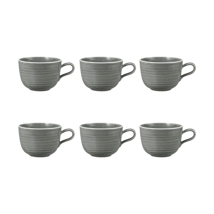 Terra kop 38 cl 6-pack - Pearl Grey - Seltmann Weiden