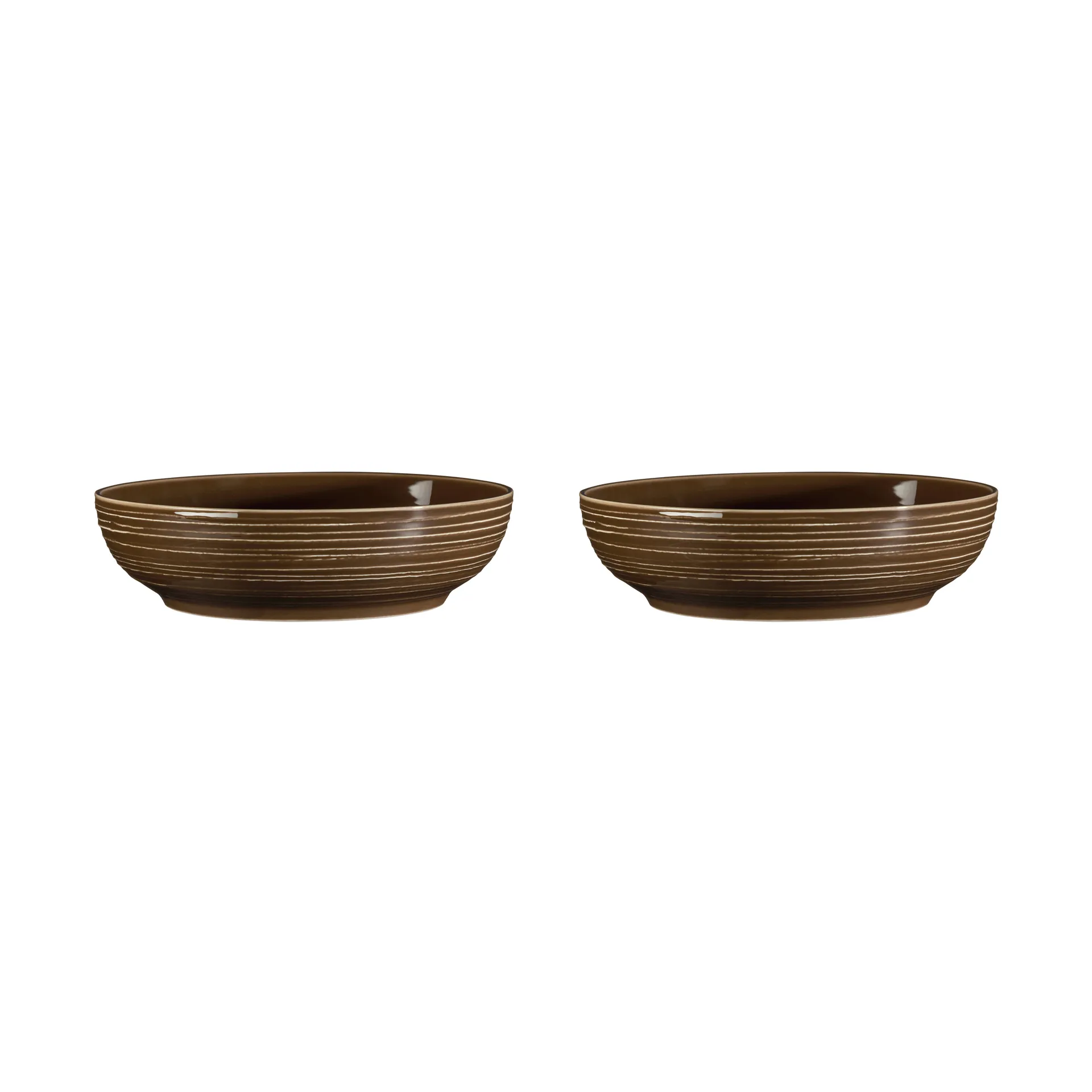 Terra schaal Ø25,5 cm 2-pack, Earth Brown Seltmann Weiden