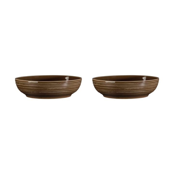 Terra schaal Ø25,5 cm 2-pack - Earth Brown - Seltmann Weiden